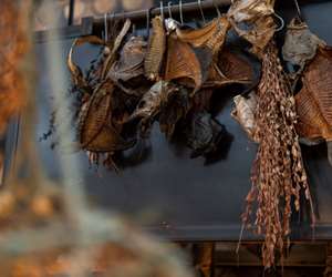 Dried fish hanging