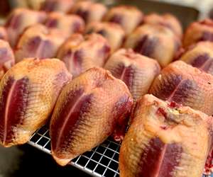 Birds drying