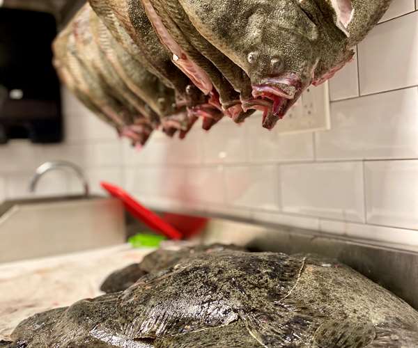 Fish hanging